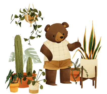 environment illustrations