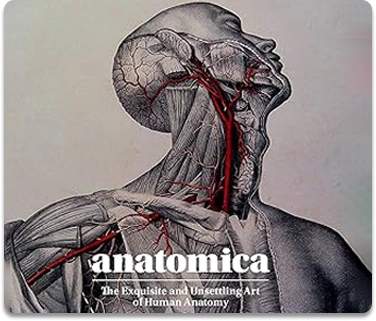 Anatomica