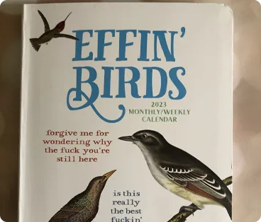 Effin Birds