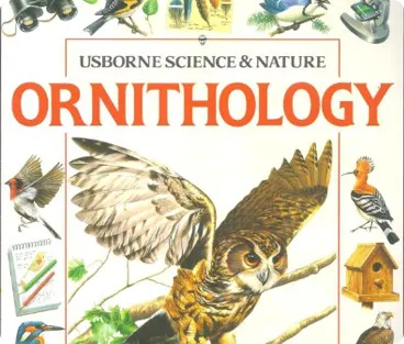 Ornithography